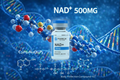 NAD+ (Research Grade) – 500mg